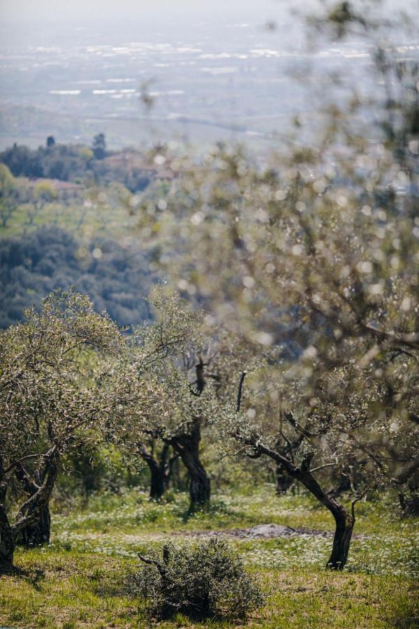 Villa Desiderio Tuscany Pistoia Exterior photo